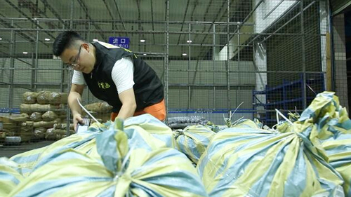 心航報(bào)關(guān)服務(wù)