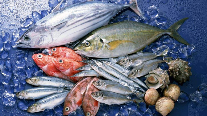 水產(chǎn)品進(jìn)口案例